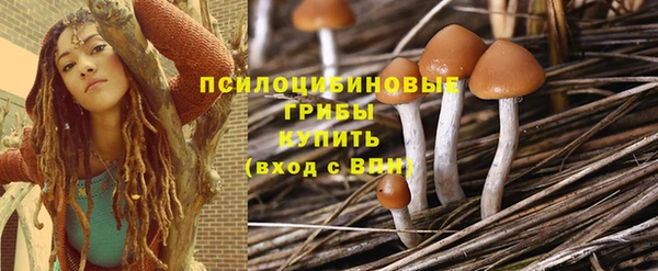 марки lsd Медногорск