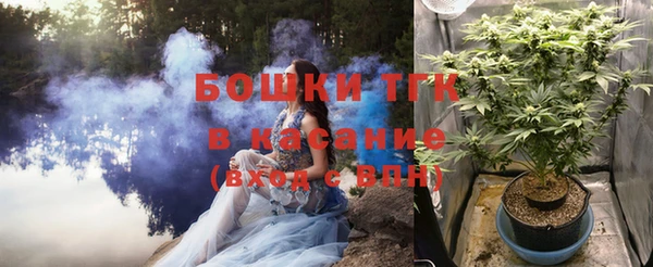 мдпв Михайловск