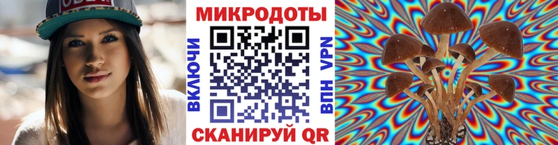 Псилоцибиновые грибы Psilocybe  Отрадная 